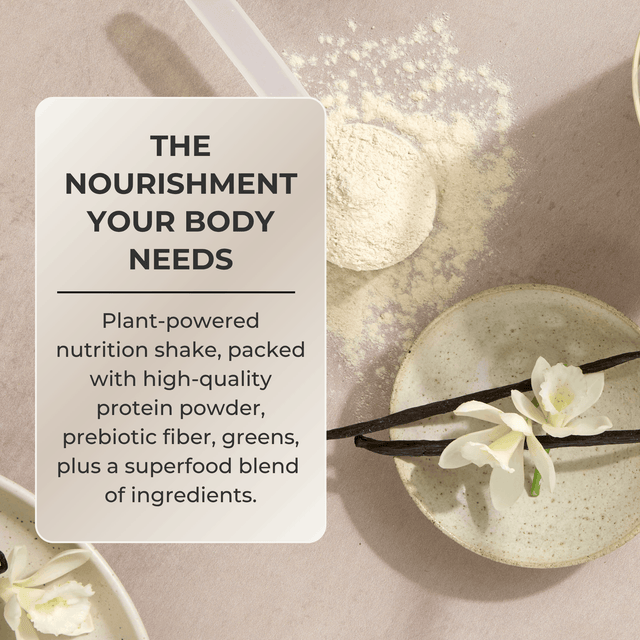 A promotional flat-lay for a plant-based nutrition shake powder. A white card on the left reads 'THE NOURISHMENT YOUR BODY NEEDS' with descriptive text.