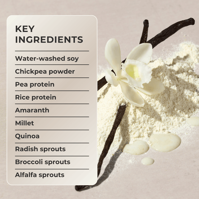 A product ingredient graphic with a list titled 'KEY INGREDIENTS' on the left, including water-washed soy, chickpea powder, pea protein, rice protein, amaranth, millet, quinoa, radish sprouts, broccoli sprouts, and alfalfa sprouts. The right side shows a close-up of a white powder mound with vanilla beans and a vanilla flower on a pale beige background.